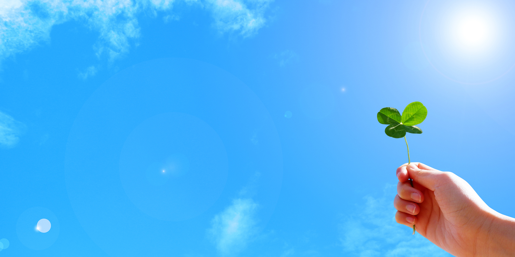 有限会社ひまわりケアサービス